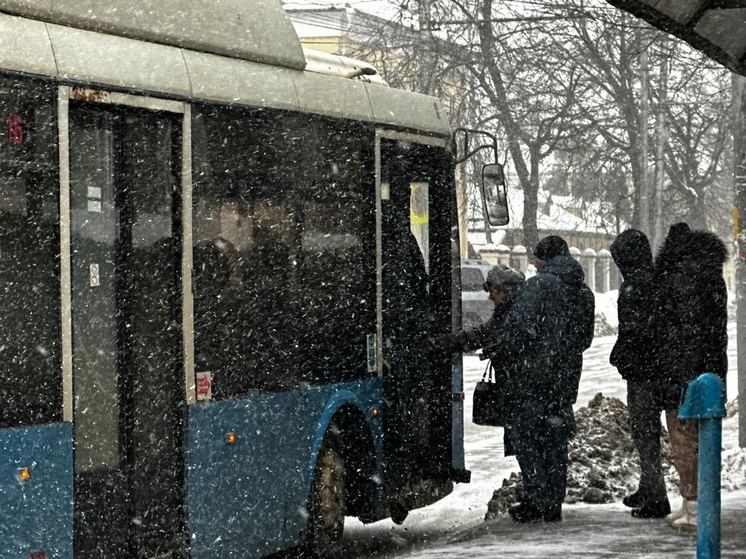 В Тульской области 31 января начнётся мокрый снег