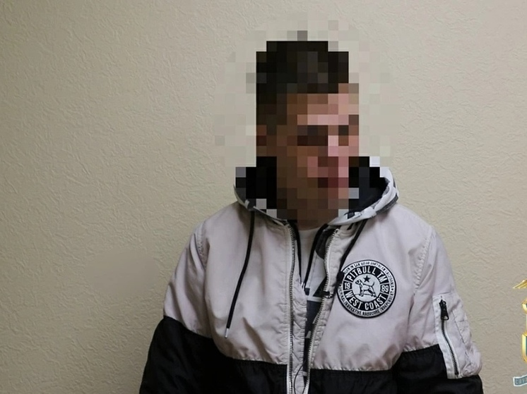 Полиция поймала великолучанина, который забрал свыше полумиллиона рублей у пенсионерок