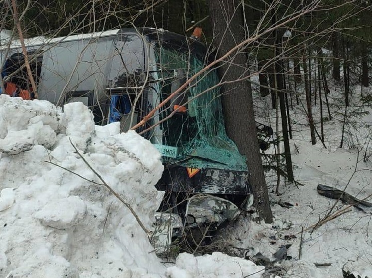 Предъявлено обвинение владельцу и водителю автобуса, везшего детей-хоккеистов