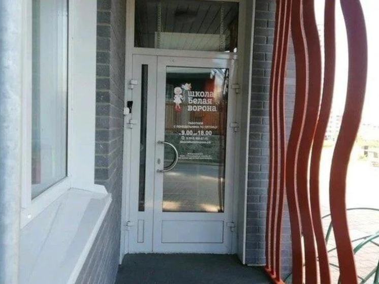 В Новосибирске прокуроры проведут проверку в частной школе «Белая ворона»