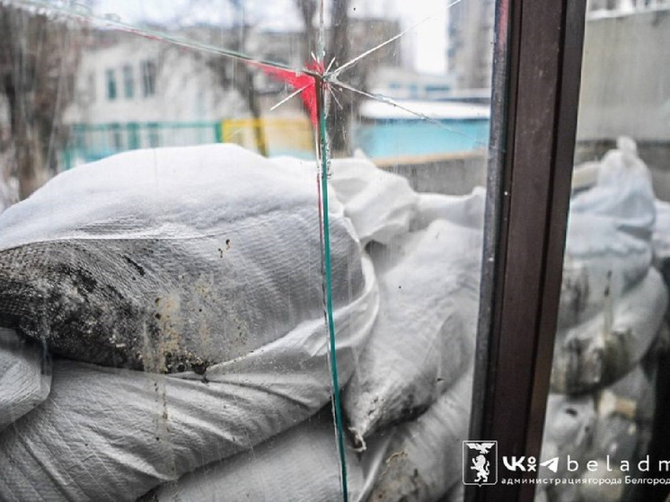 В Белгороде предложили снять стекла с остановок