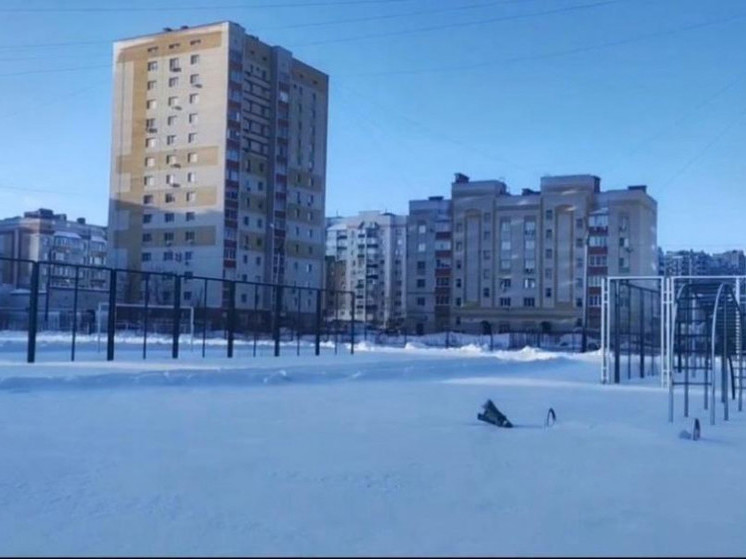 В Тамбове пришкольным стадионом школы №36 разрешат пользоваться горожанам