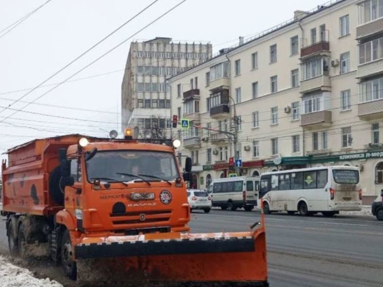 Последний месяц зимы в Туле начнется при плюсовых температурах