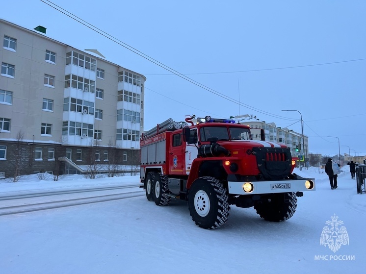 Ежемесячное число пожаров в НАО совпало с данными прошлого года
