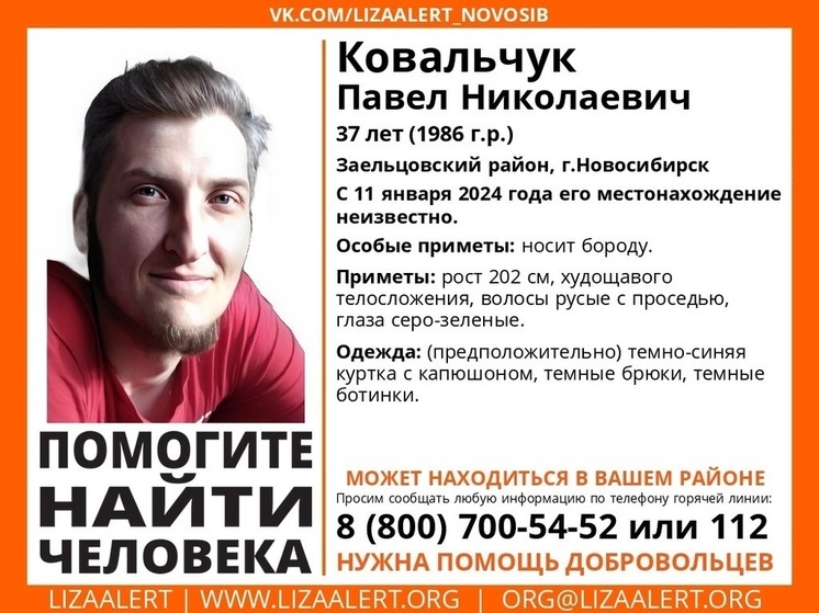В Новосибирске третью неделю ищут высокого бородатого мужчину