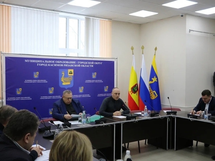 В Касимове Рязанской области планируют построить ледовую арену