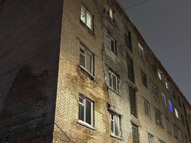 Многодетную семью обвинили в разрушении дома в городе Пересвете