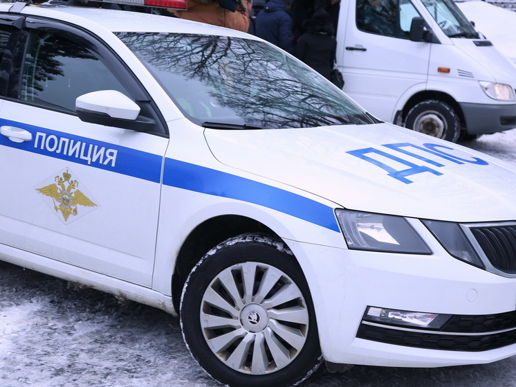 Водитель фуры насмерть сбил женщину на трассе под Одинцово