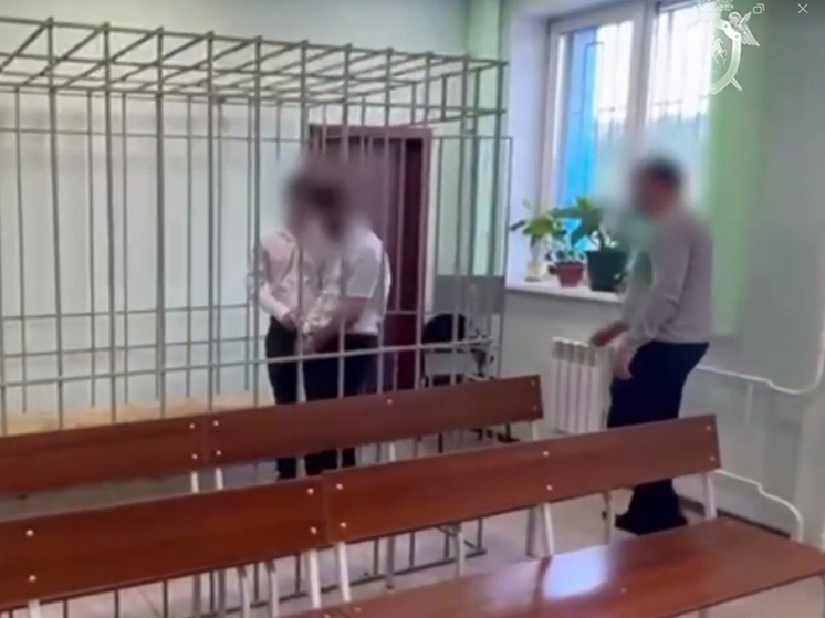 Уголовное дело завели на двух адвокатов из Красноярска за участие в пирамиде