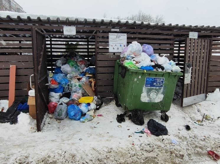 Жители Петрозаводска пятый день не могут дождаться мусоровоза
