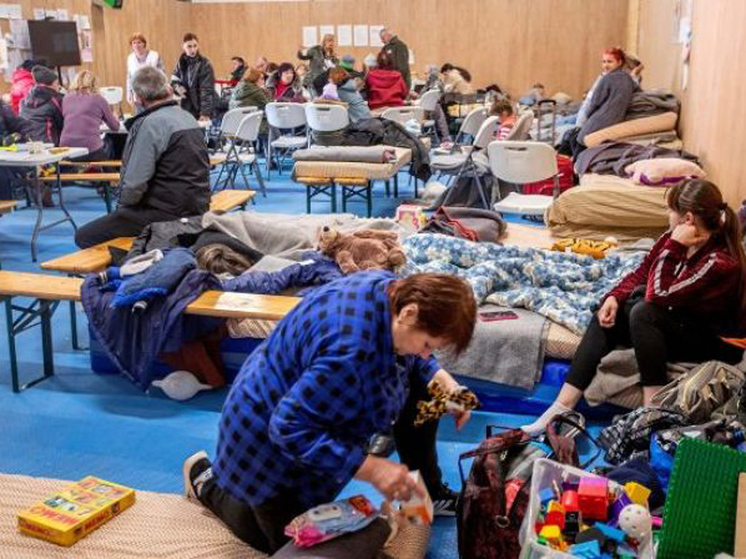 «Их нужно заставить работать»: кризис с украинскими беженцами достиг апогея в Норвегии
