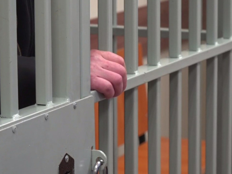 9 лет тюрьмы получил житель Истры за зверское убийство сожительницы
