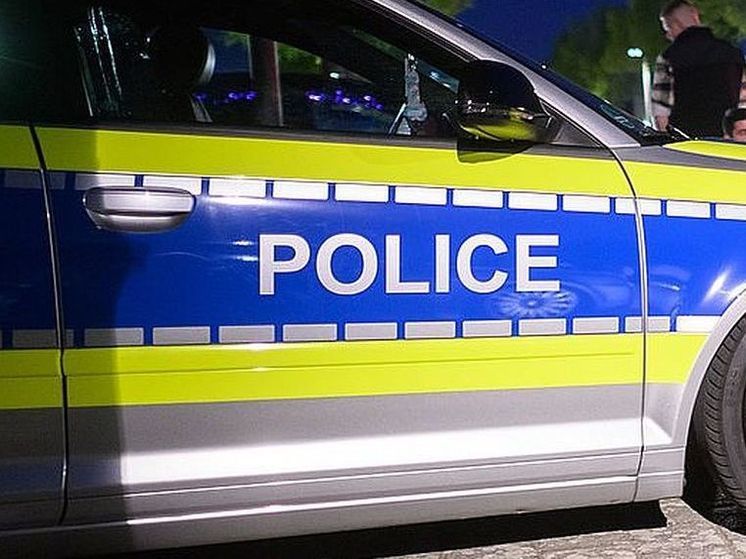 Неизвестный мужчина избил и облил кислотой мать и двоих детей в Лондоне