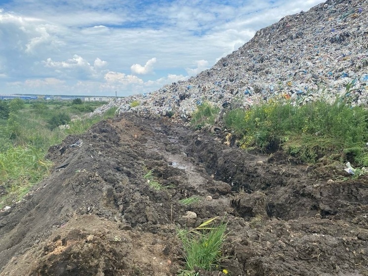 Липецкая компания по вывозу мусора выплатила более 2 млн рублей за загрязнение почвы