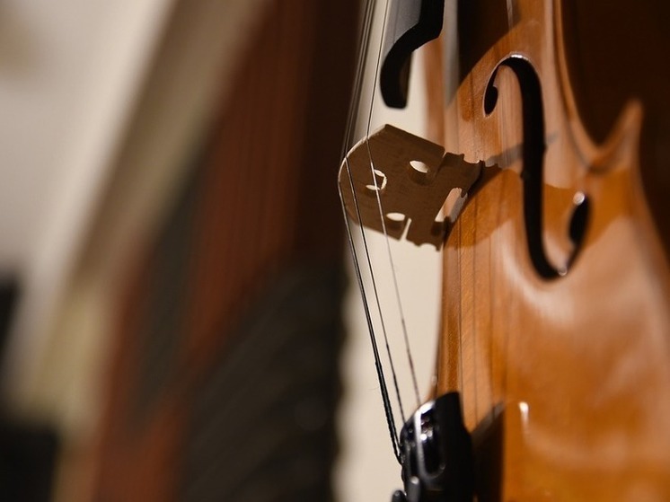 Концерт-реквием в Санкт-Петербурге прошёл с участием виолончелистки из Тюмени