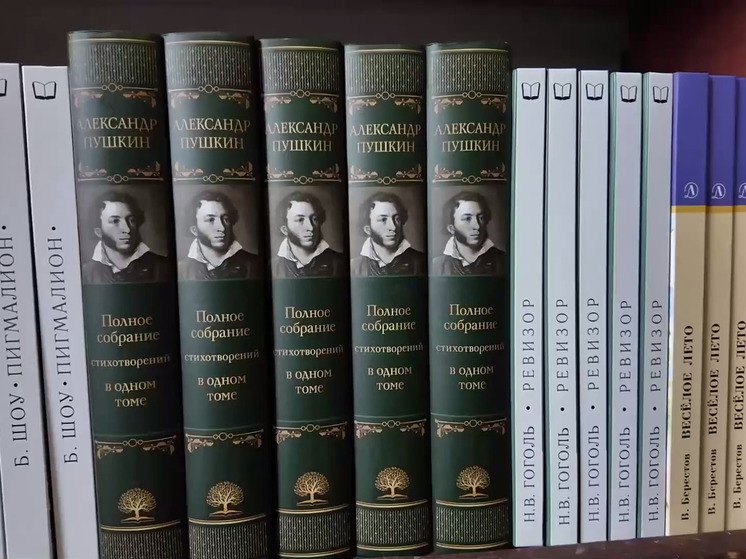 Волонтеры собрали и передали книги в библиотеку Богдановки