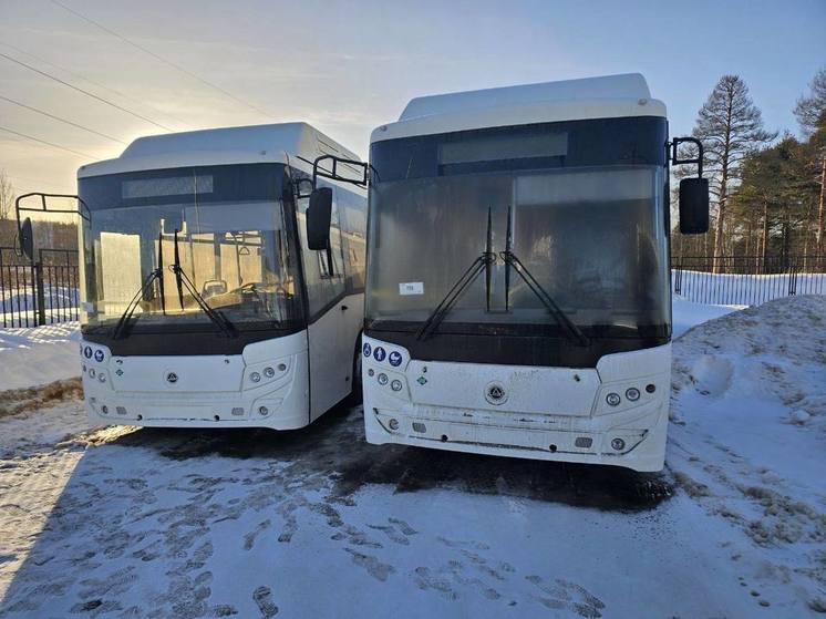 Ленобласть закупит 70 экологичных автобусов