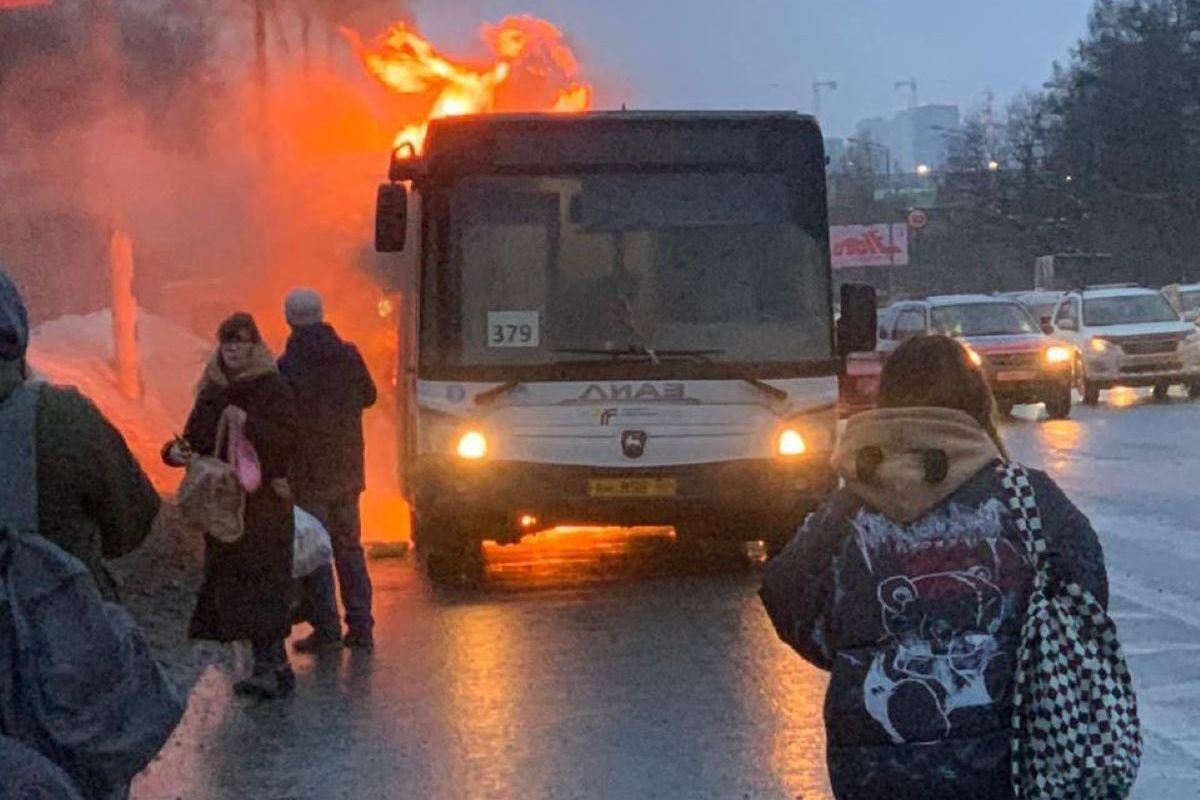 Пассажирский автобус сгорел по дороге из Домодедово в Москву - МК  Московская область