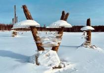 Около поселка Талакан Амурской области каждый год «расцветают» «ледяные грибы»