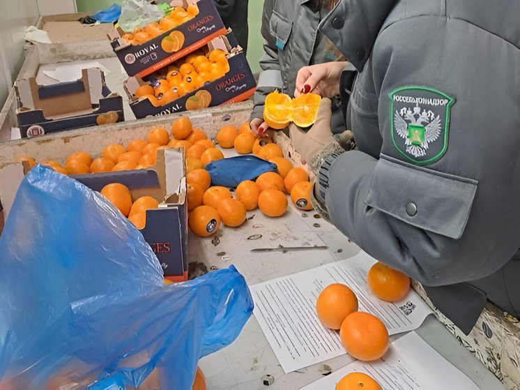 В Калининградской области на 40% увеличился импорт цитрусовых
