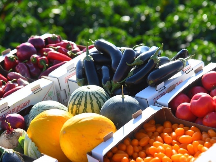 Питательные и дешевые: какие овощи полезны юным волгоградцам