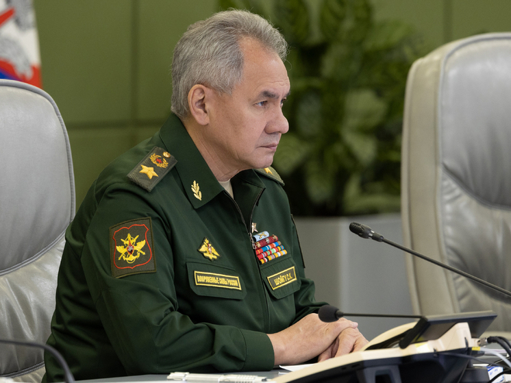МО РФ проработает вопрос голосования военных на выборах президента