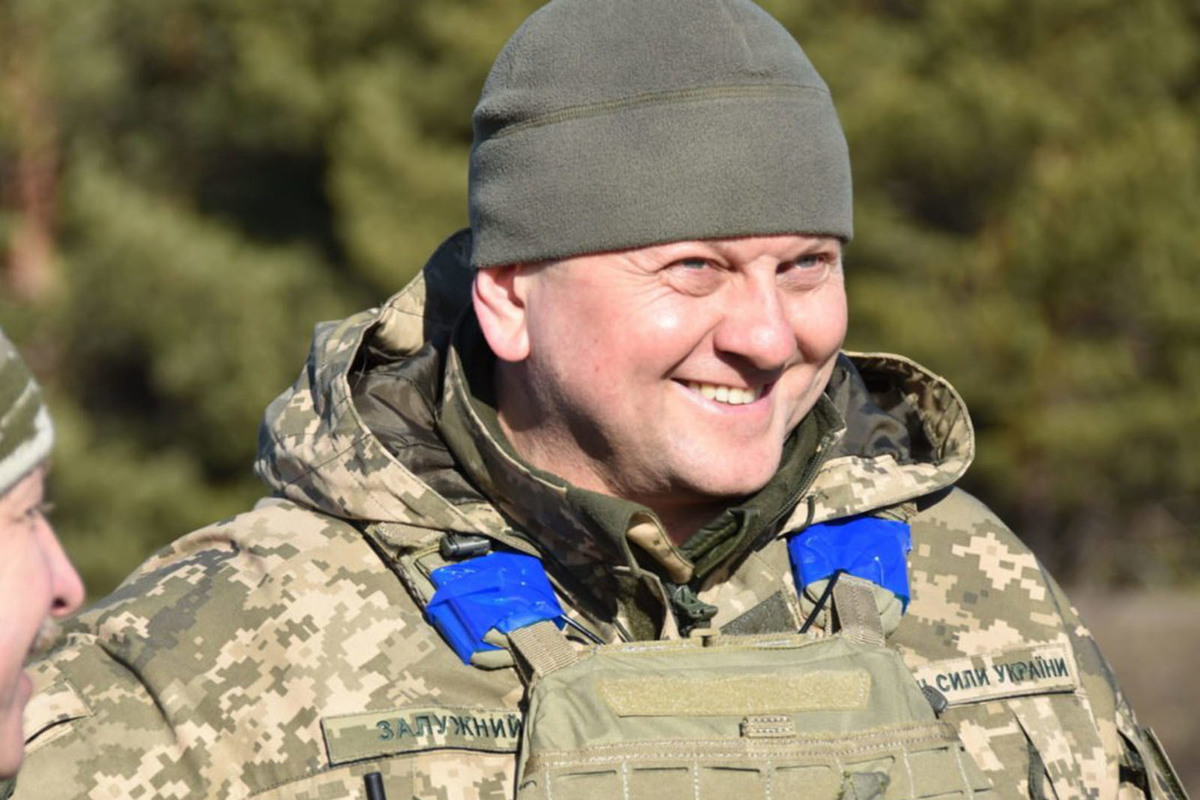 Валерием федоровичем залужным. Валерием федоровичем залужным
