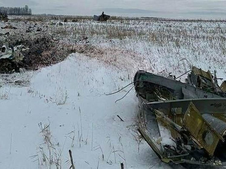 Patriot air defense system was waiting for the plane and attacked it from an ambush