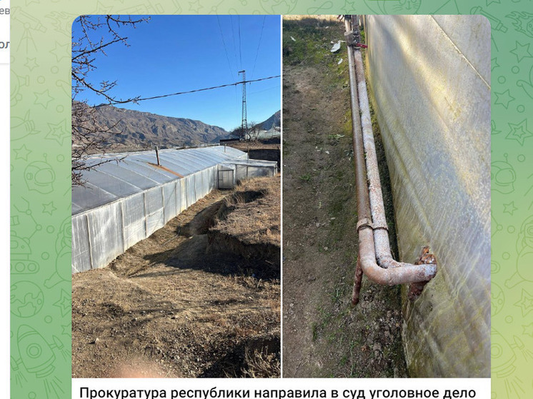 Дагестан: Собственник теплицы обвиняется в краже газа