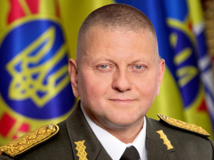 Власти Украины проинформировали США о намерении уволить главкома ВСУ Залужного – WP