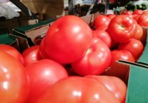 В Петербурге подорожали помидоры и огурцы почти на 60 % с начала осени 2023 года. При этом обычно их цена повышается только на 20 %, сообщает РБК.