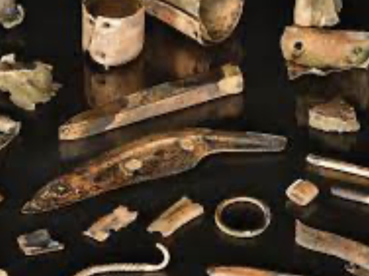 Римскую туалетную ложку обнаружили среди сокровищ при помощи металлодетектора