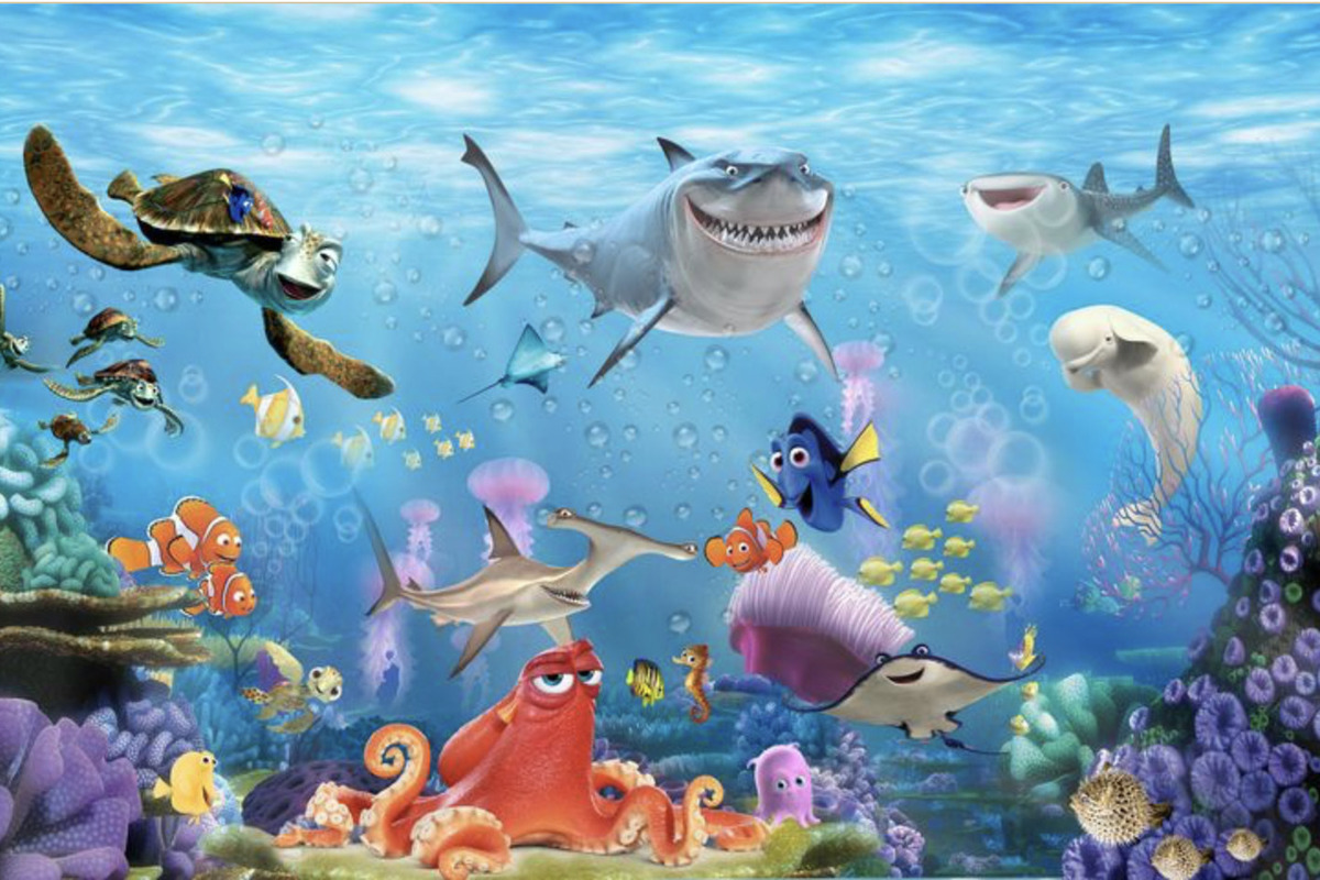 The amazing ability of the fish from Finding Nemo to count stripes has been revealed