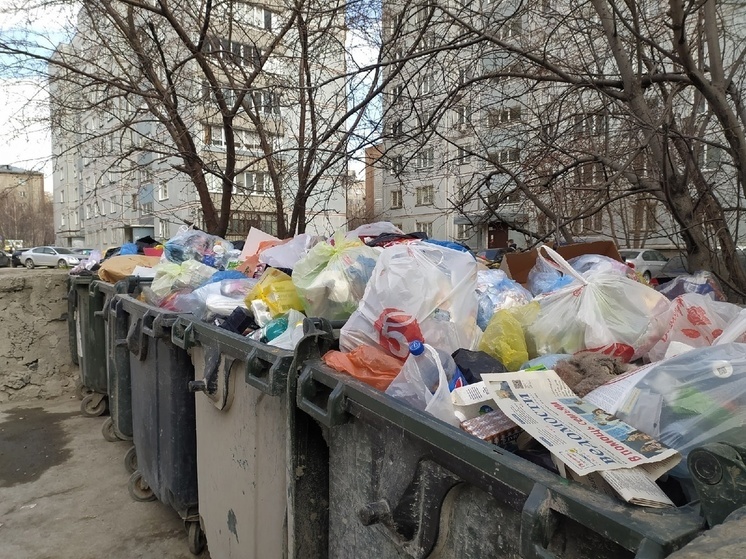 В Омске неизвестные выбросили тушу косули в мусорный бак