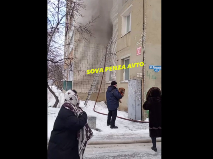 В Пензе произошел пожар на улице Пушанина