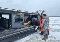 Недалеко от Приозерска спасатели помогли двум мужчинам, провалившимся под лед. Они отправились в путешествие на снегоходе, но неудачно проехали, сообщили в Аварийно-спасательной службе Ленобласти. 