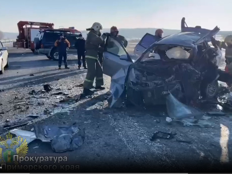 В страшном ДТП на трассе «Хабаровск-Владивосток» погибли четыре человека