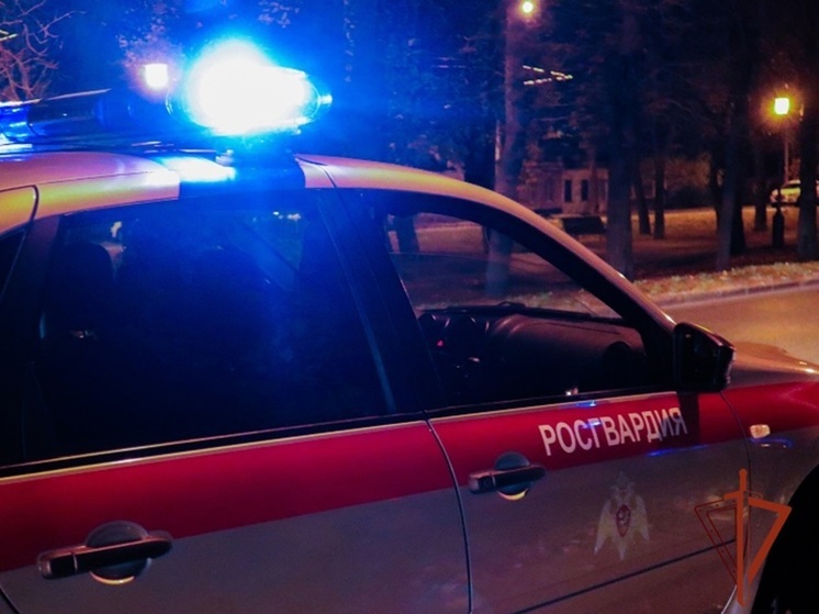 Росгвардейцы Алтайского края задержали автоугонщика