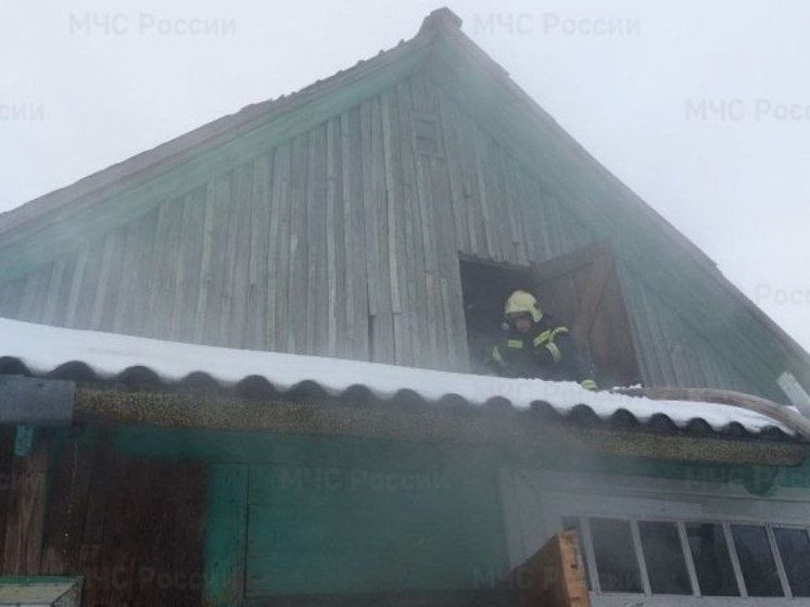 В Сафоново при пожаре погиб мужчина