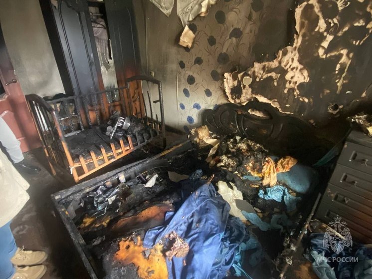 В Пензенском МЧС сообщили возможную причину пожара на улице Пушанина