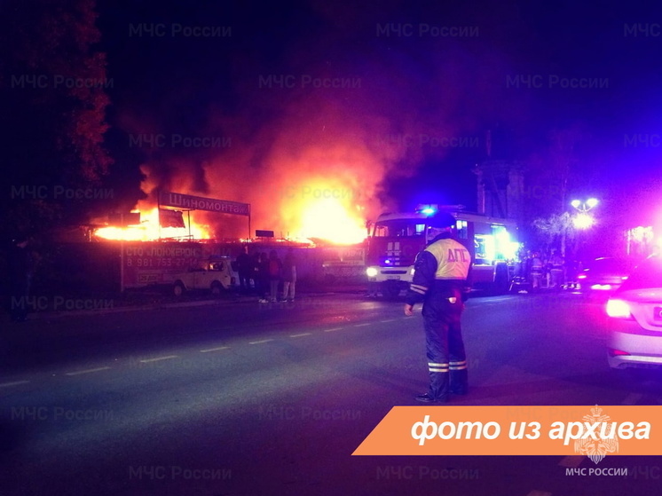 Сотрудники МЧС потушили пожар в дачном доме в СНТ «Спорт» Всеволожского района