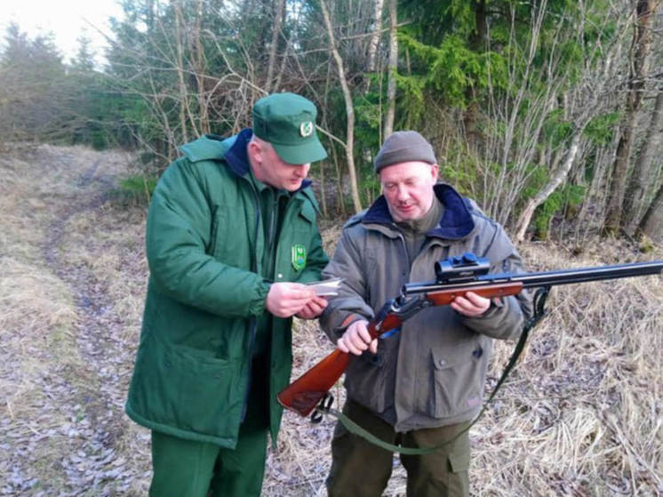 Жители Ленобласти 5 февраля смогут задать вопросы об охоте в лесах региона