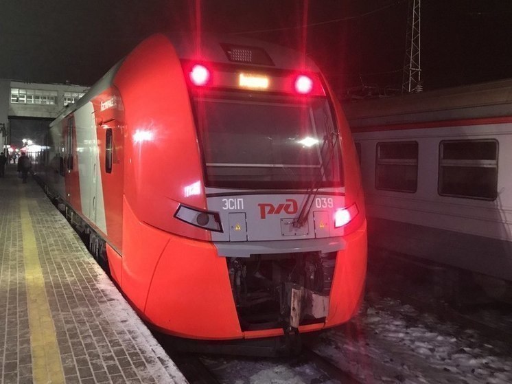 Скоростной поезд «Ласточка» планируют запустить между Омском и Новосибирском