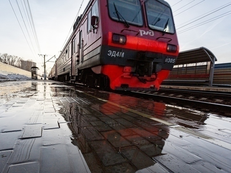 Скоростной поезд "Ласточка" хотят запустить между Омском и Новосибирском