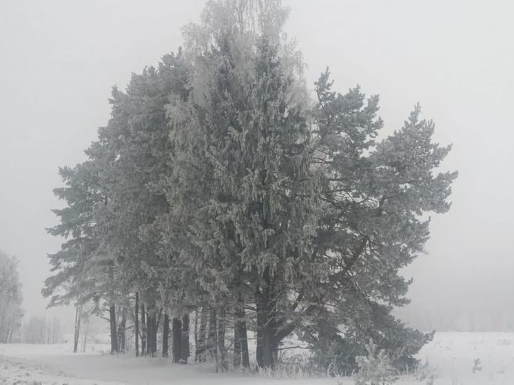 Синоптик предупредил о возвращении морозов до -20° в ночь на пятницу