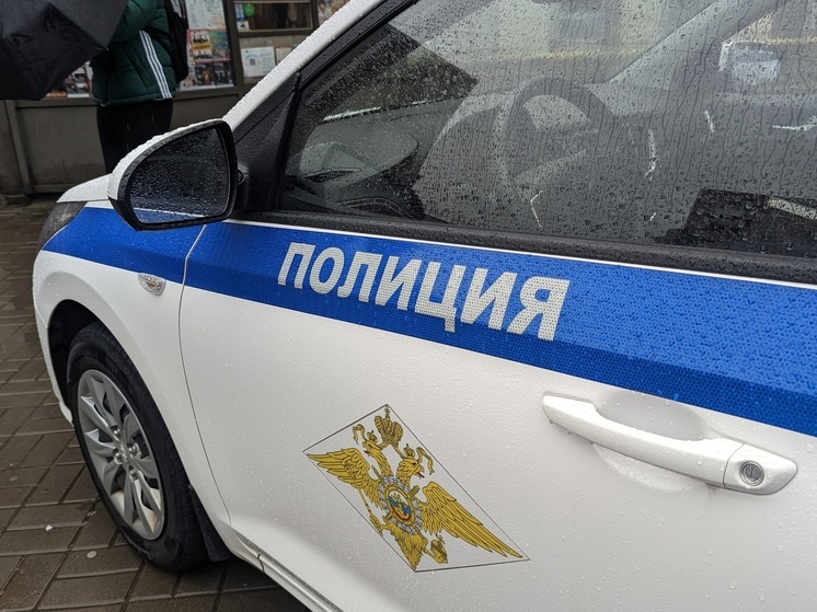 Полиция задержала двоих петербуржцев за попытку провезти оружие в метро