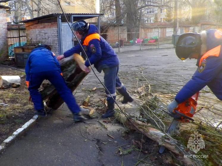 В Гурьевске произошел пожар в СНТ «Вишенка»