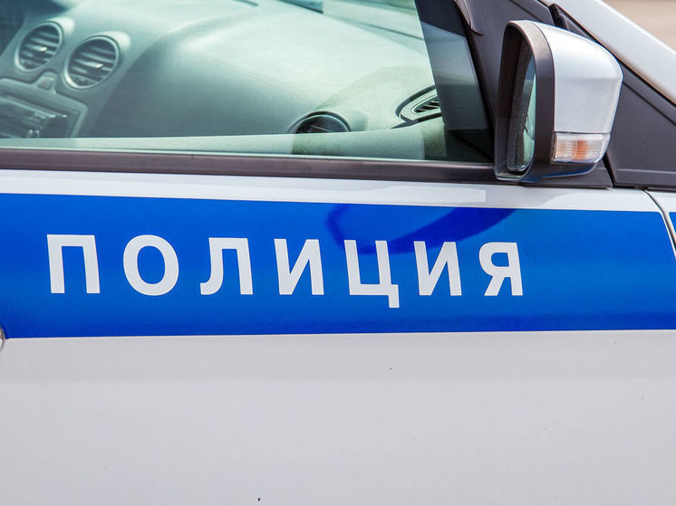 Полиция в Кузбассе начала проверку после нападения мужчины на школьника