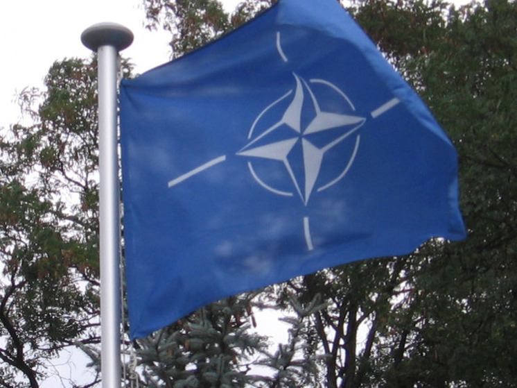 NYT: европейские чиновники обсуждают возможность потери США лидерства в НАТО при Трампе