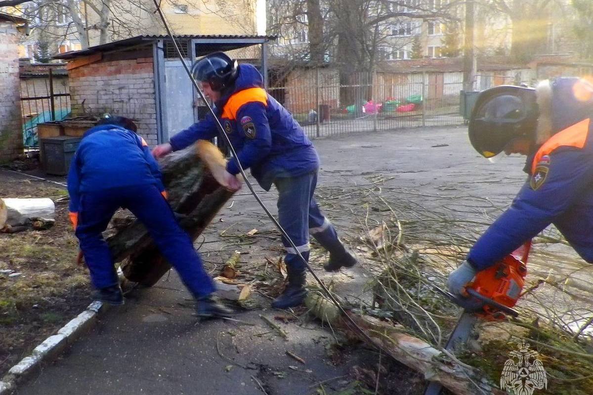 Погода в гурьевске калининградской на 10 дней